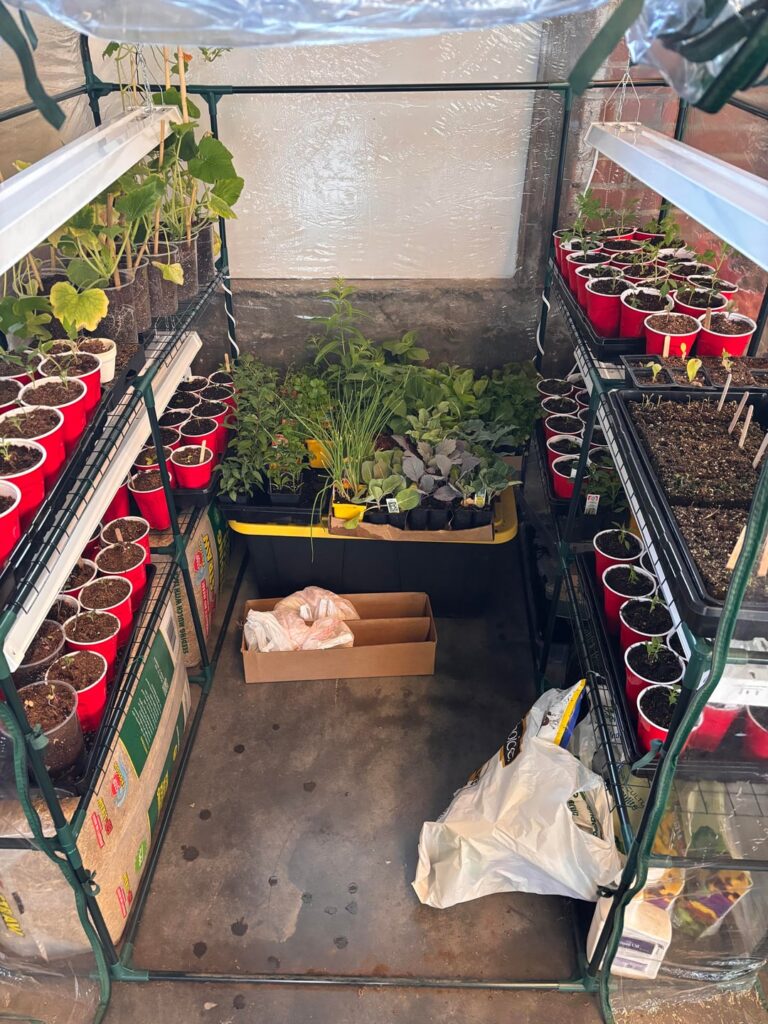 Update on the greenhouse! Update on the greenhouse!