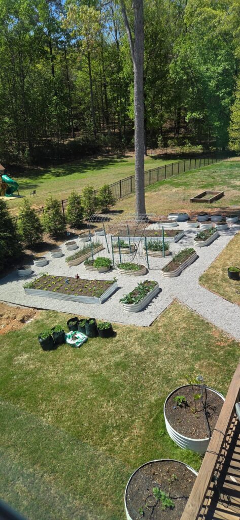 Slowly building the garden of my dreams! Slowly building the garden of my dreams!