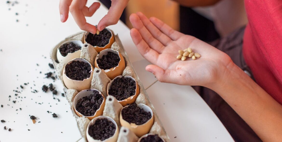 6 Retro Gardening Hacks That Still Work Today – Including Using Eggshells As Planters