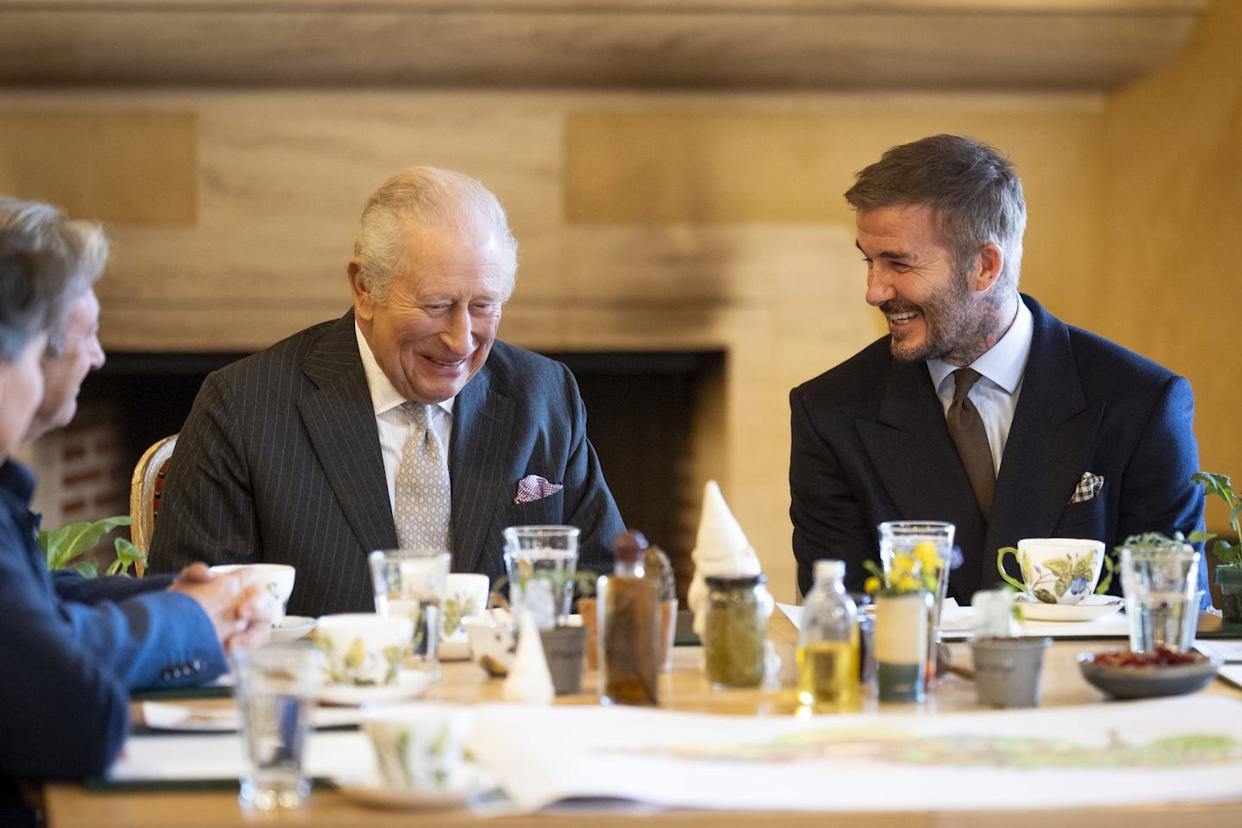 David Beckham to help create garden at RHS Chelsea Flower Show