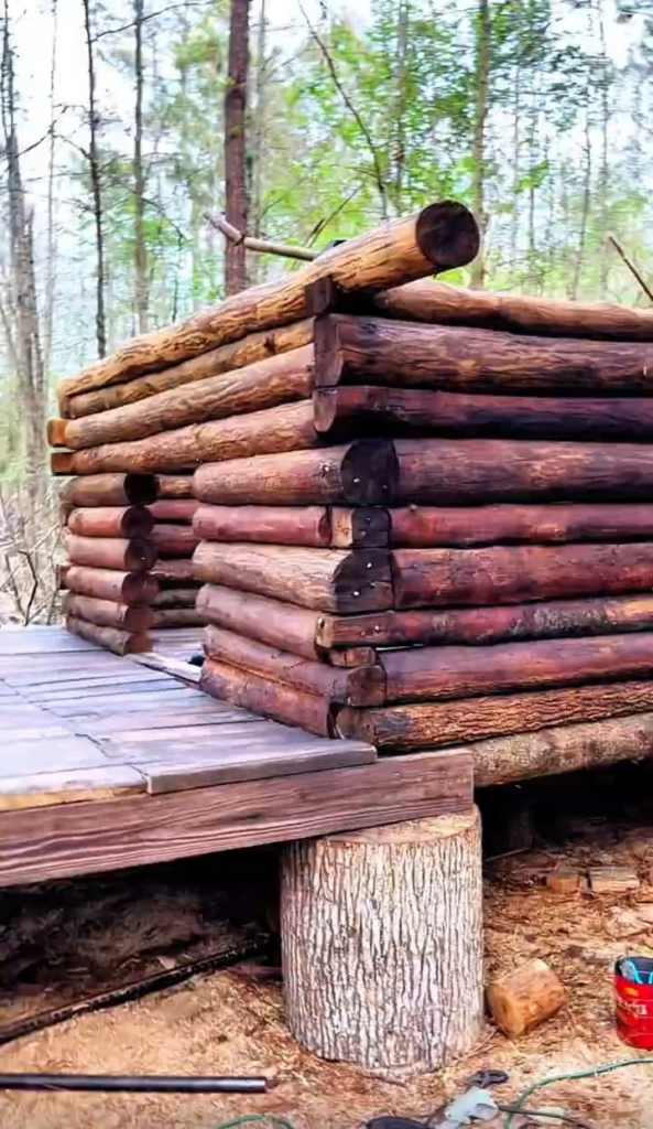 Homestead