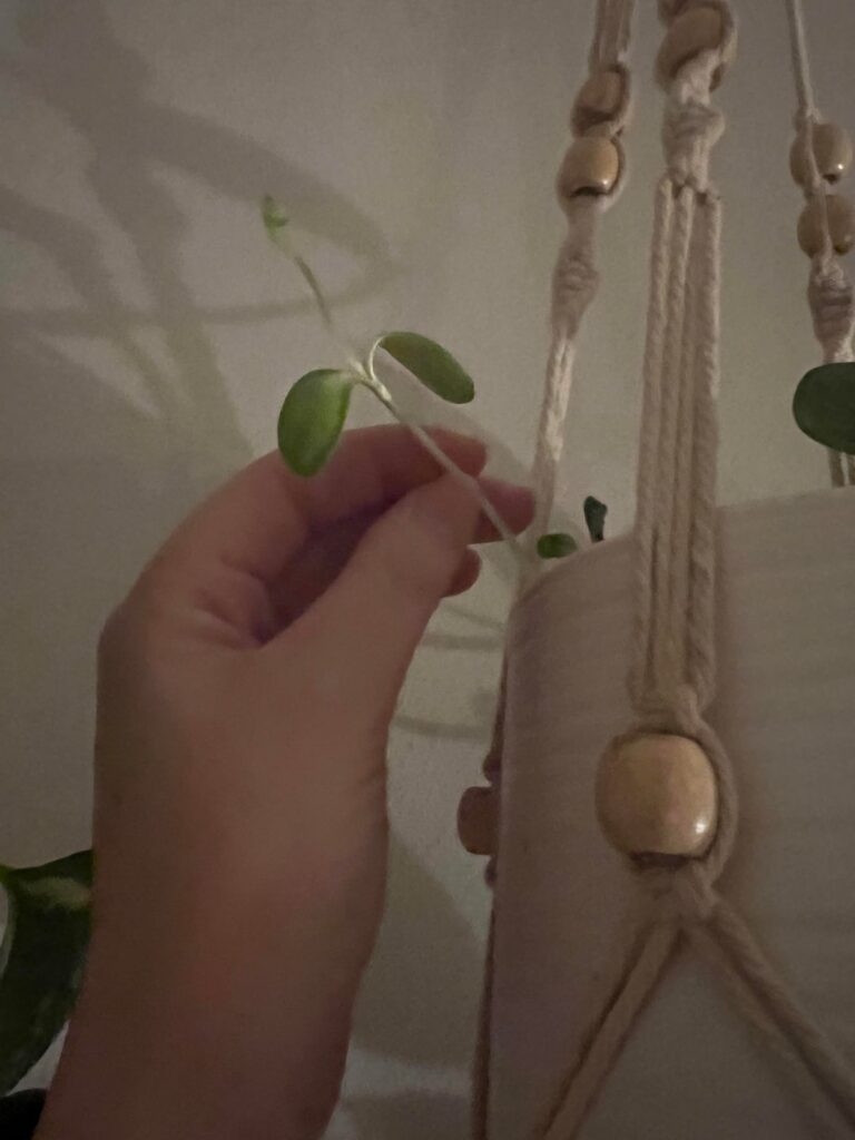 What is this?