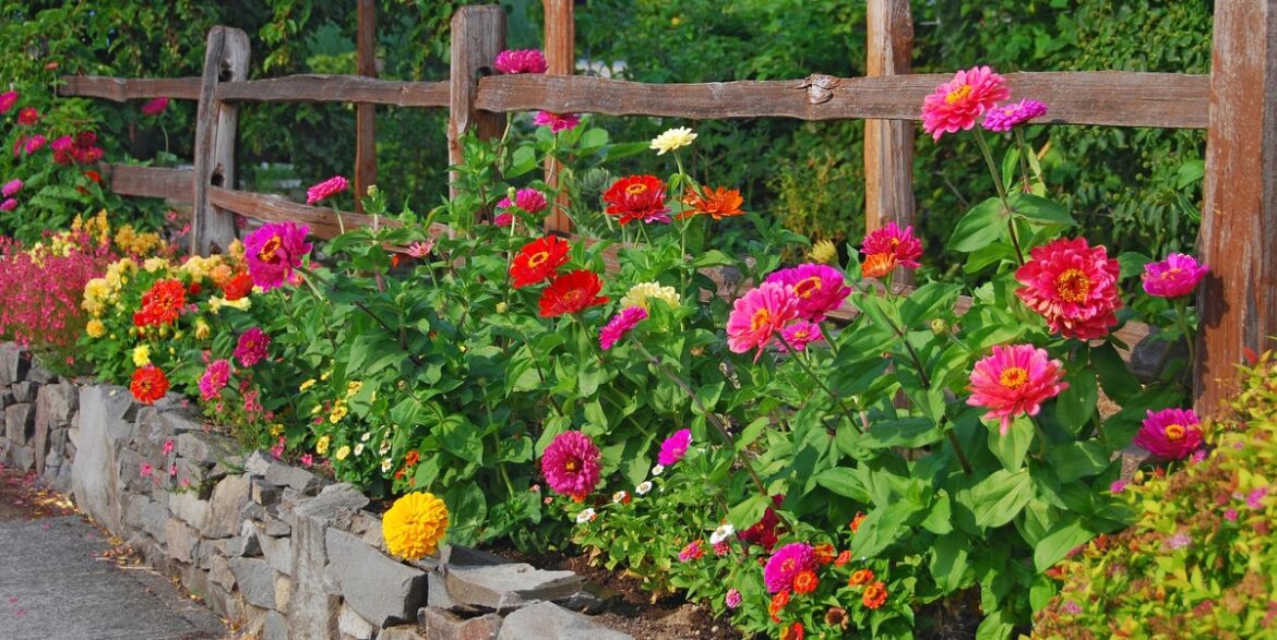 24 Easy-to-Grow Flowers That Are Perfect for Beginners 24 Easy-to-Grow Flowers That Are Perfect for Beginners