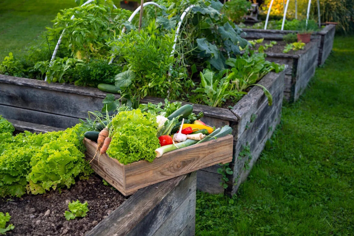 The “5-4-3-2-1 Method” Is the Expert-Approved Secret to Vibrant Summer Garden Yahoo lifestyle home
