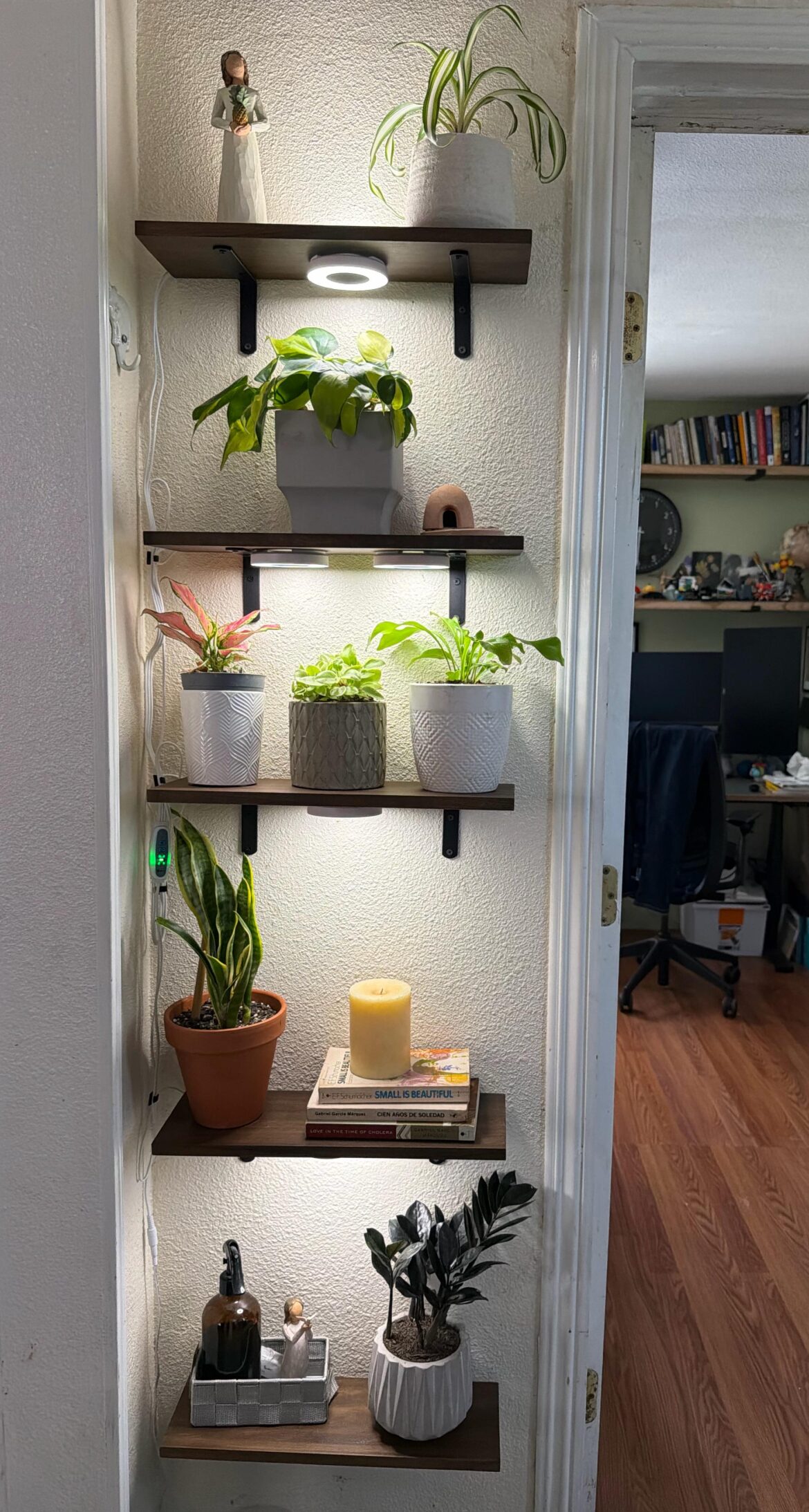 Added Grow Lights!