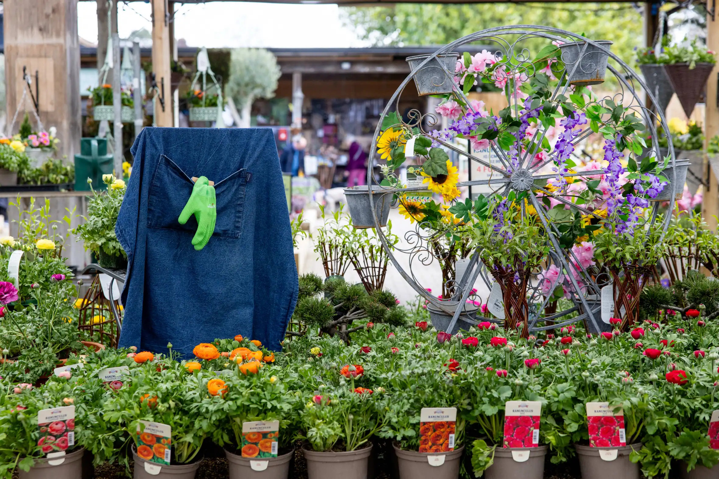 General view of the Van Page Garden Centre with rows of Ranunculus in the foreground, a blue denim shirt with green gardening gloves, and a ferris wheel-shaped planter in the background.