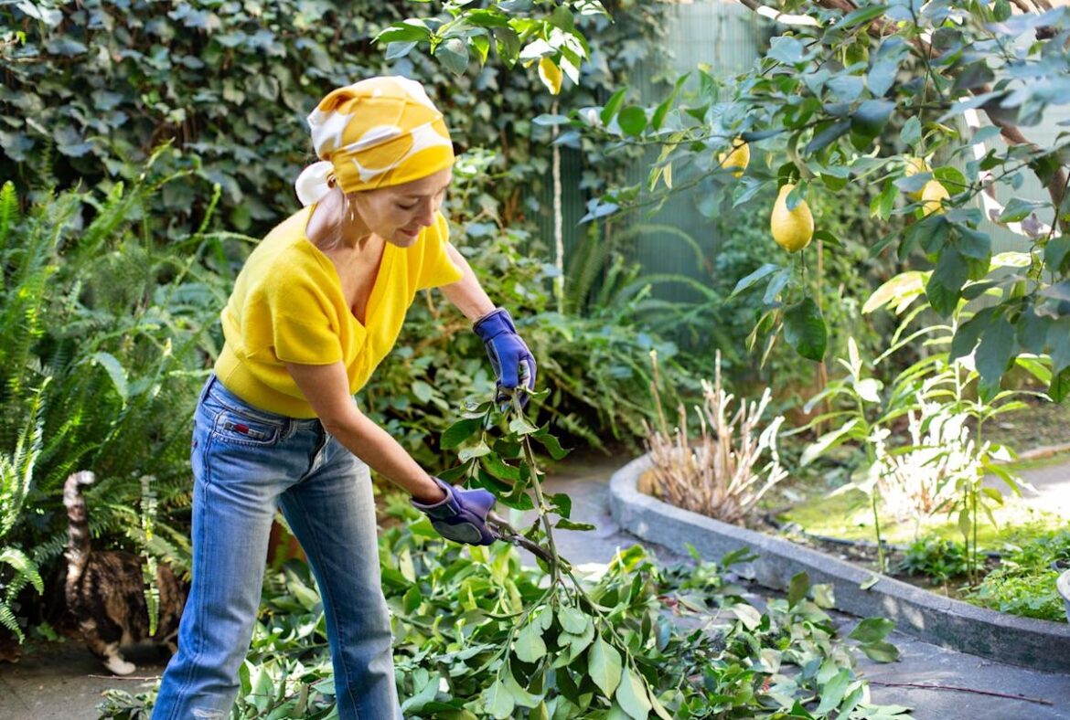 6 Things to Do Before April Ends for a Blooming Garden
