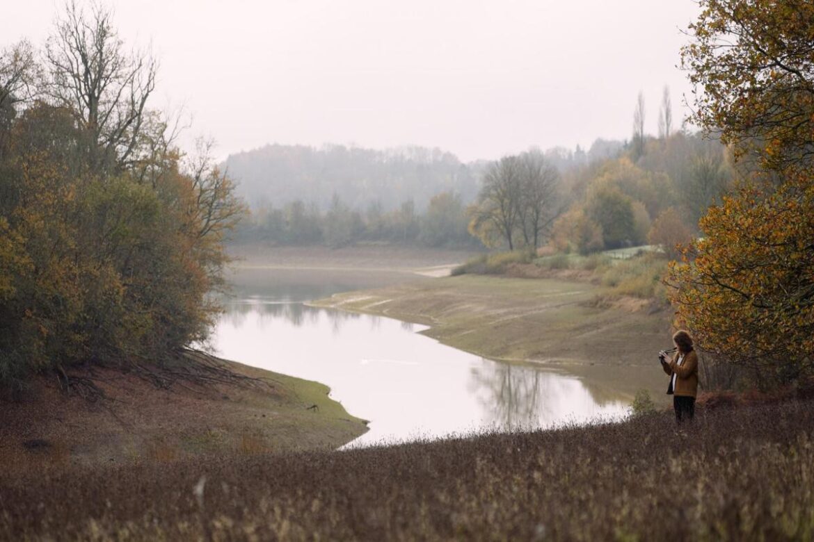 Young people create advert for Wakehurst gardens