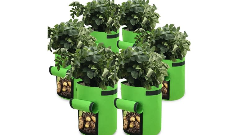 Gardzen's vegetable grow bags