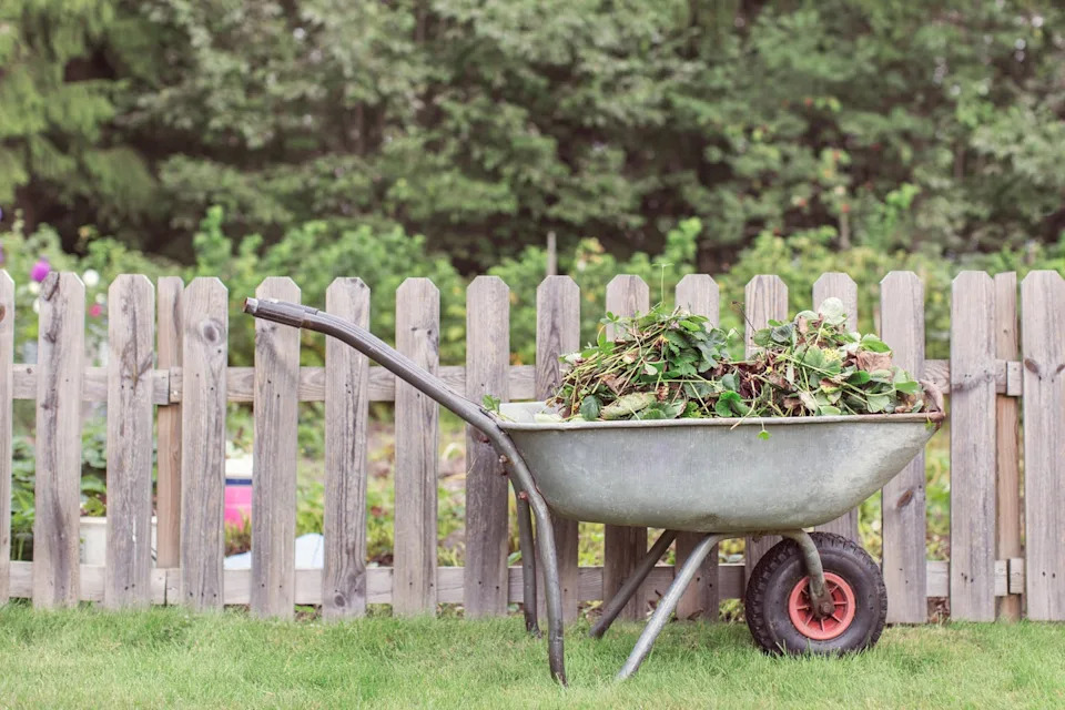 garden wheelbarrow filled with plant clippings beside a wooden fence