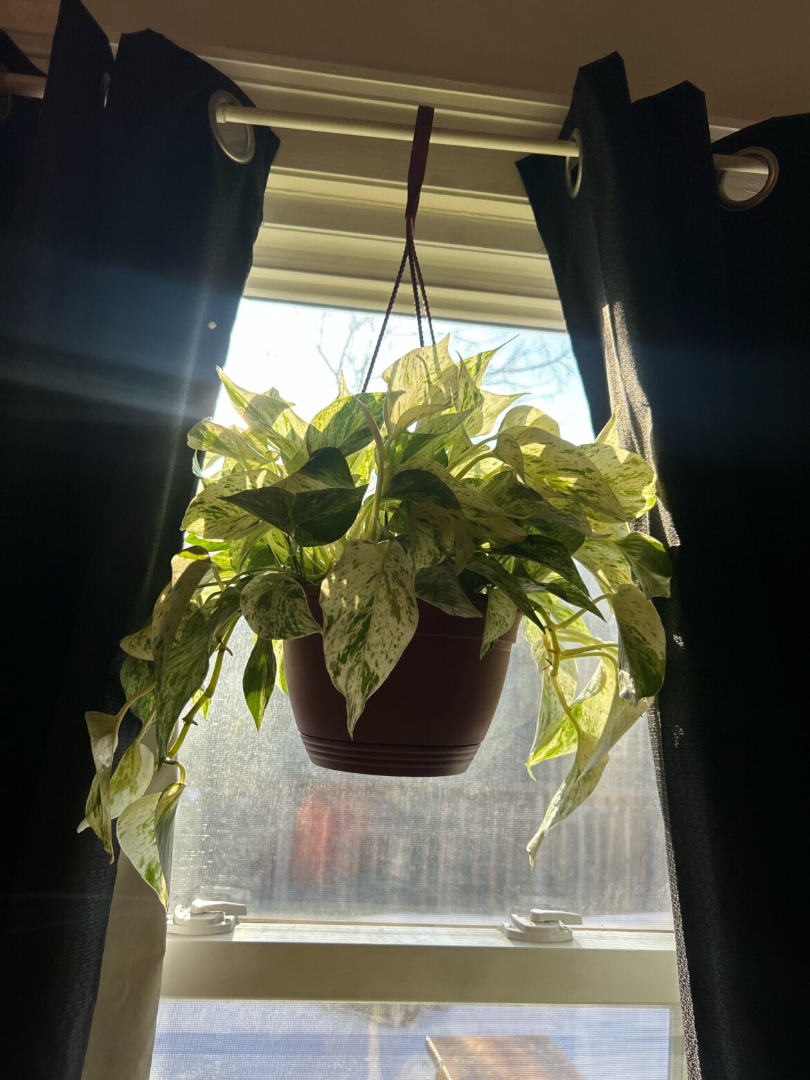 Not exactly sure what i have here!
