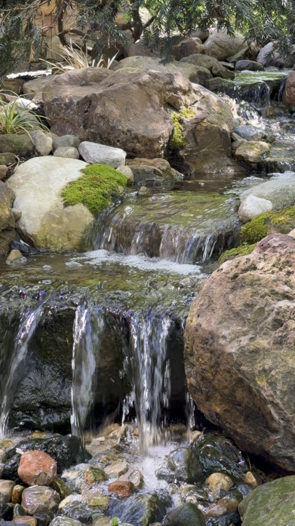 My Backyard Waterfall
