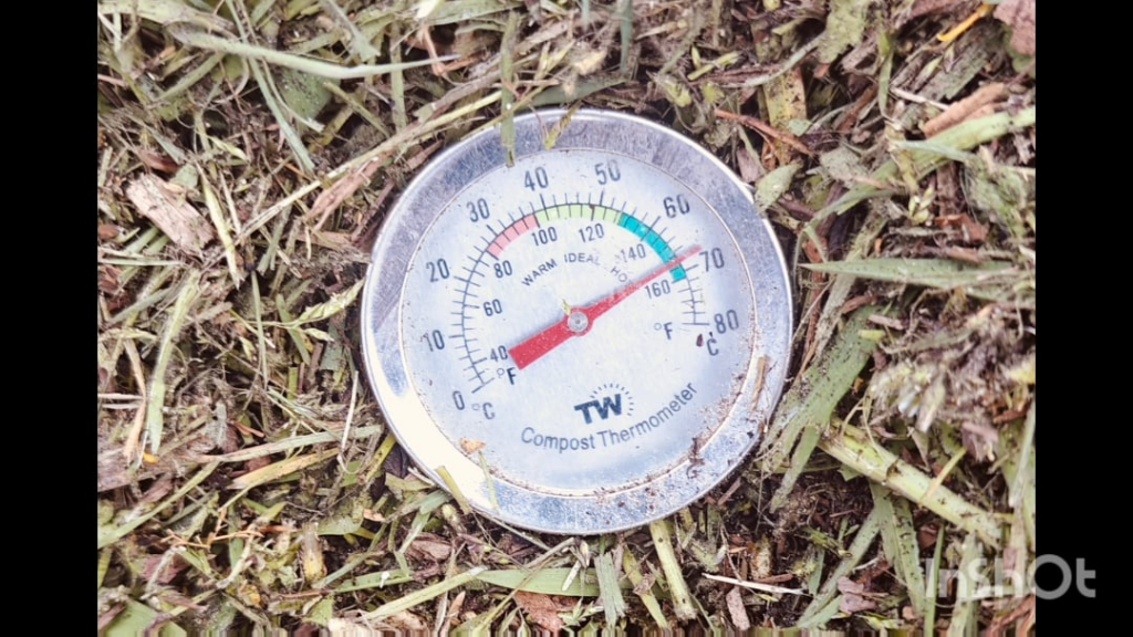 I mowed the lawn yesterday and mixed in the grass clippings lasagne style