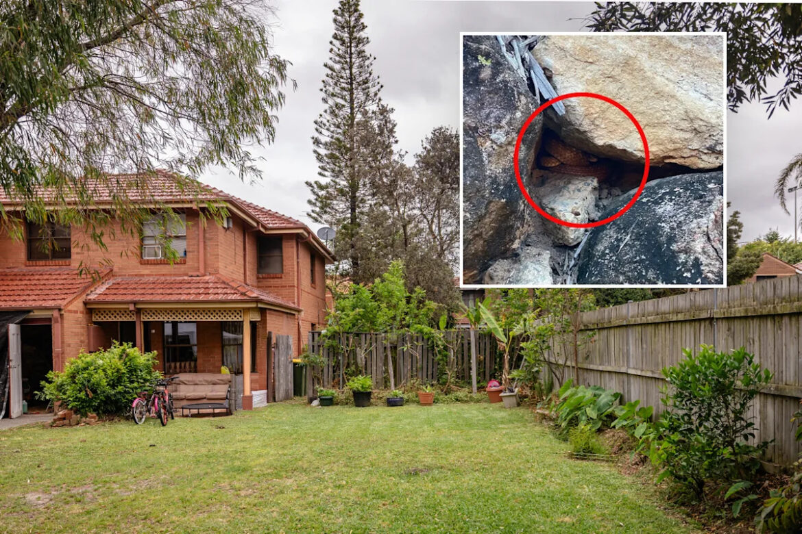Aussies warned of increasing garden danger in suburbs after 320 calls for help: 'Full on'