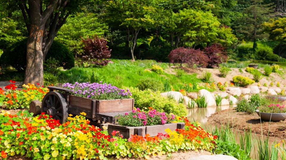 a garden full of flowers.