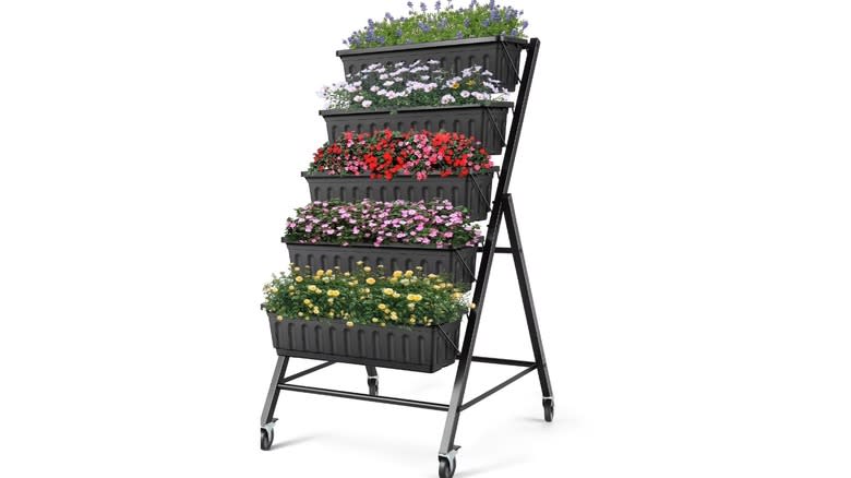The Funcid vertical garden