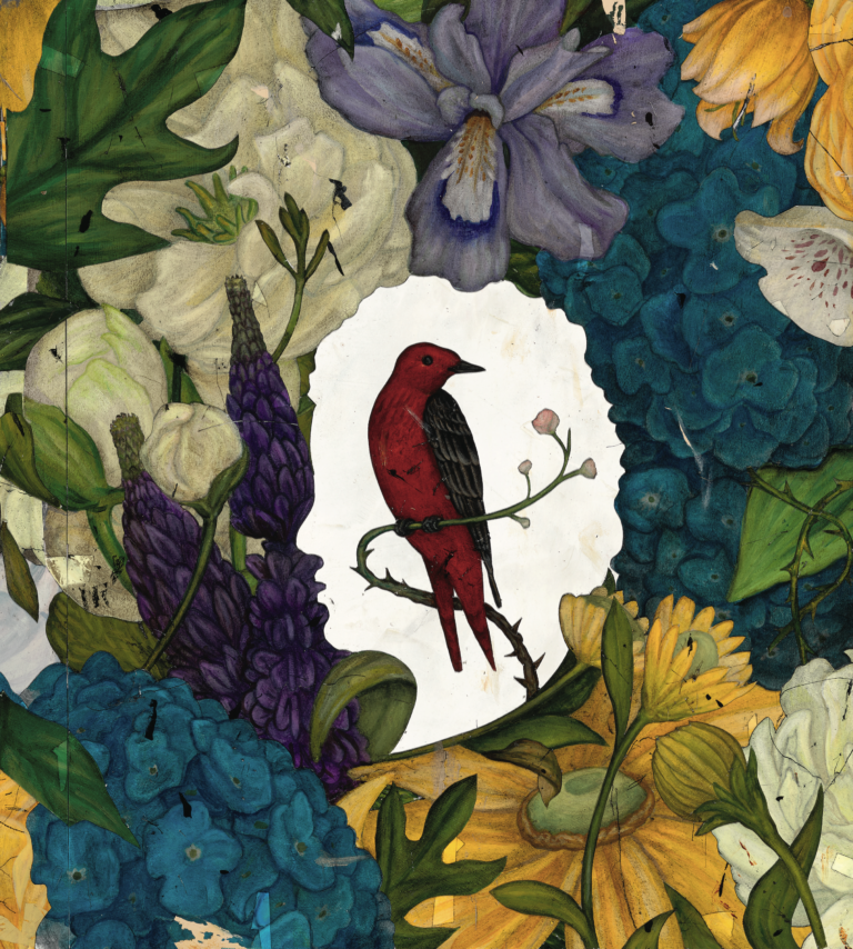 Beth Macy Gardens Her Way Home – Garden & Gun Beth Macy Gardens Her Way Home – Garden & Gun