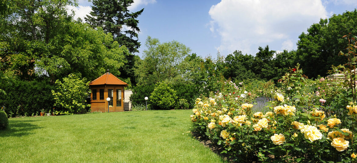 Beautiful garden with blooming roses and a small gazebo