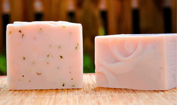 Picture of bars of soap in a garden