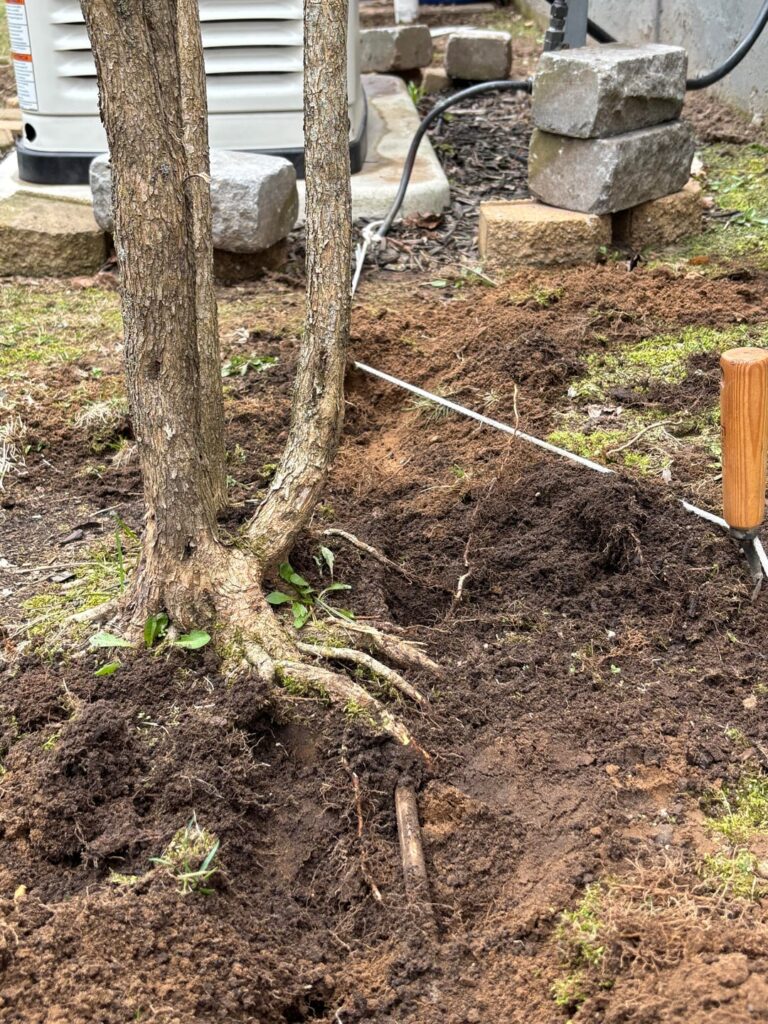 Landscaping Tip: Don’t plant shrubs or trees over the top of a propane line.