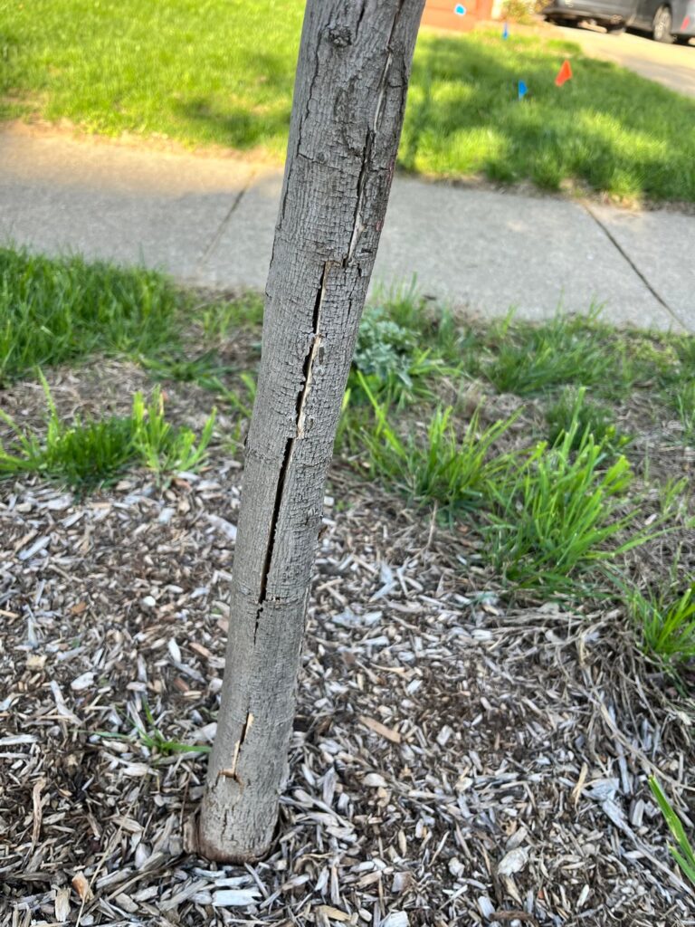 Vertical Split - Recovery?