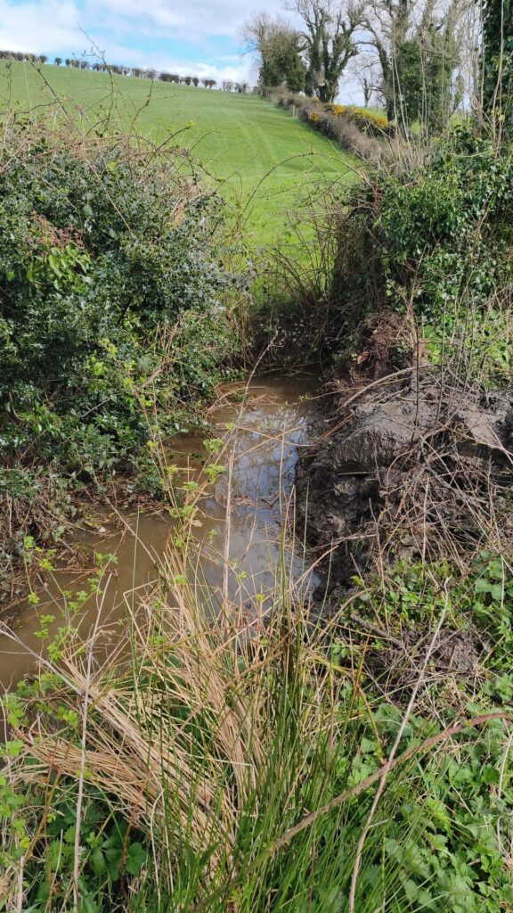 My stream bank is eating my garden. How do I stabilize this on a shoestring budget? My stream bank is eating my garden. How do I stabilize this on a shoestring budget?