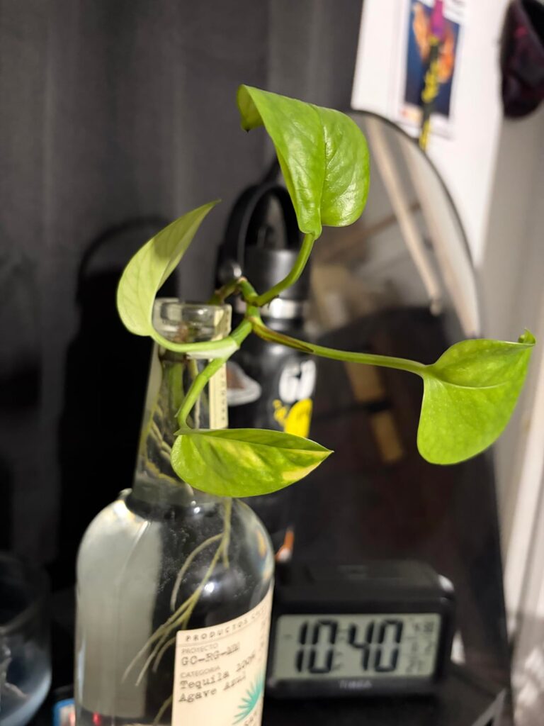 Questions from newbie