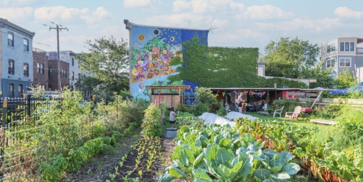 40 Urban Gardening Ideas for Your Philly Back Yard 40 Urban Gardening Ideas for Your Philly Back Yard