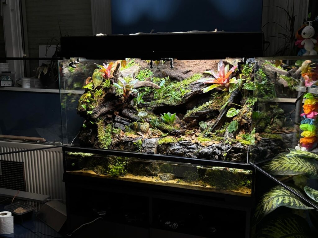 My new rhino rat snake paludarium build My new rhino rat snake paludarium build