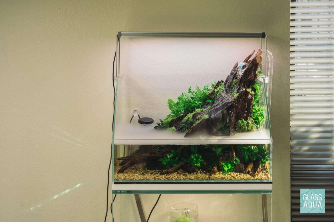 Newly replanted paludarium
