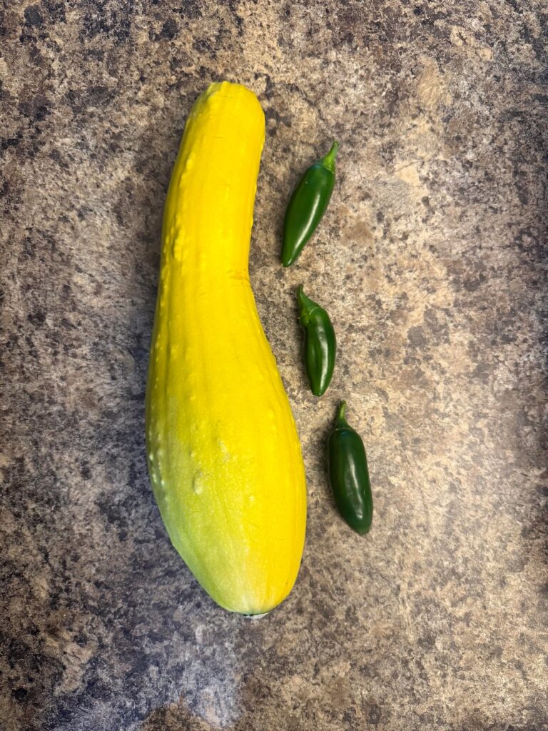 Today’s harvest‼️