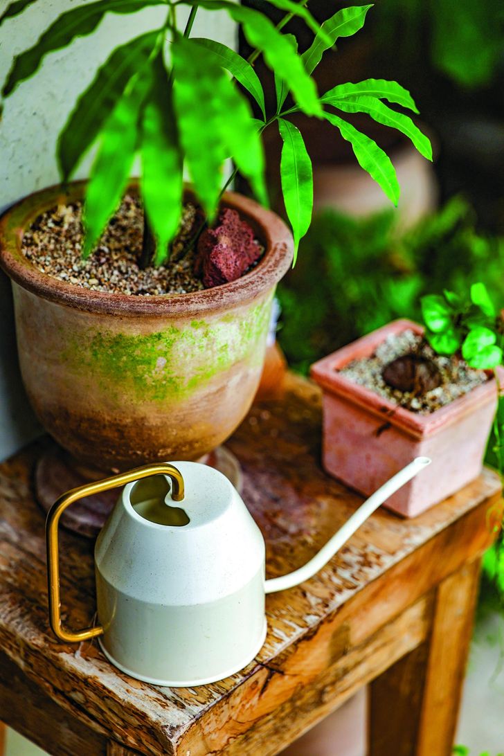 A photo from home gardening book 'My Little Forest' by Shin Joong-sun / Courtesy of National Institute of Ecology