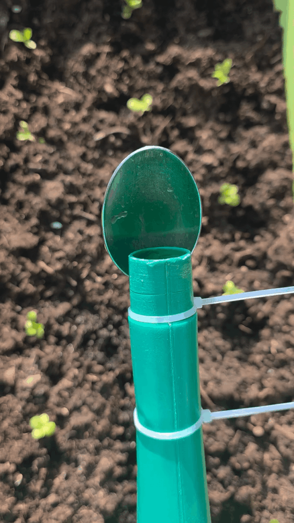Satisfying watering technique