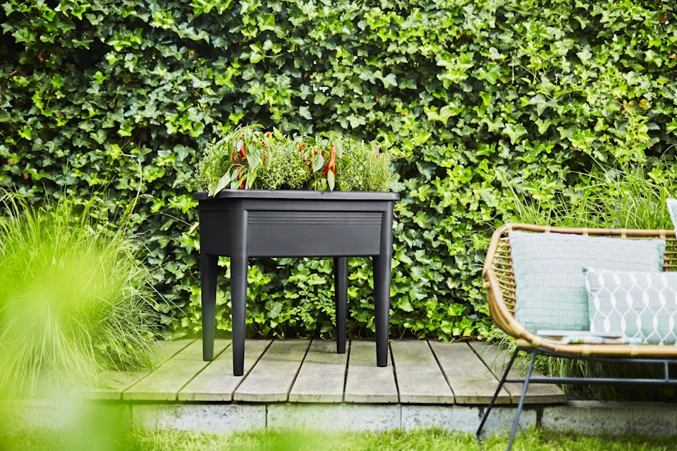 raised garden bed with herbs and peppers in a garden setting