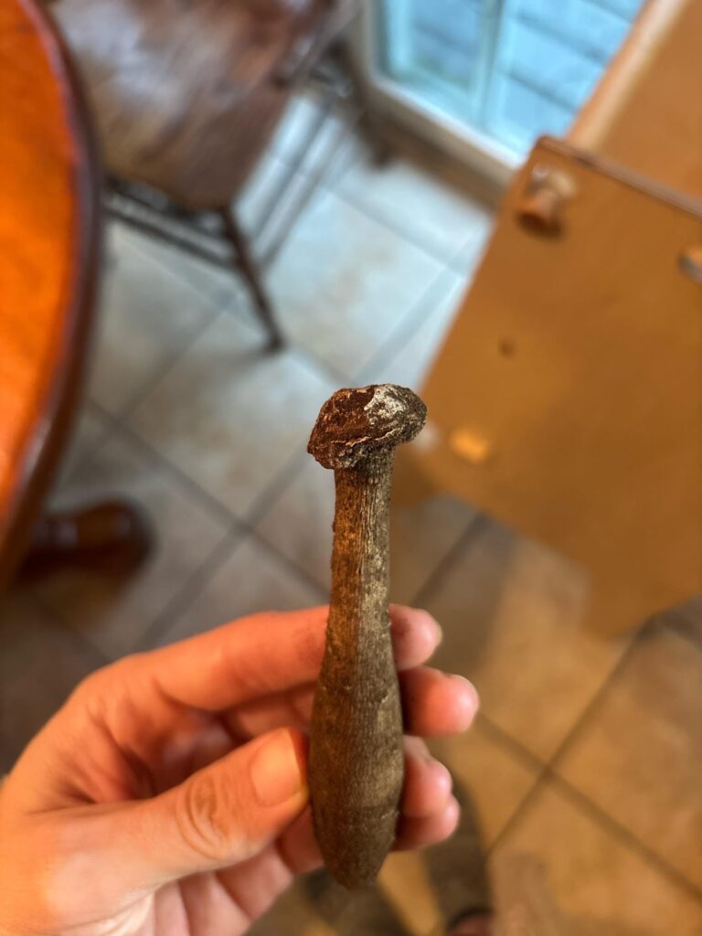 Help a newbie spot an eye