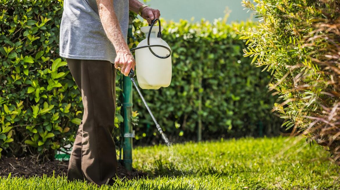 This Powerful Herbicide Could Stop Pesky Crabgrass In Its Tracks This Powerful Herbicide Could Stop Pesky Crabgrass In Its Tracks