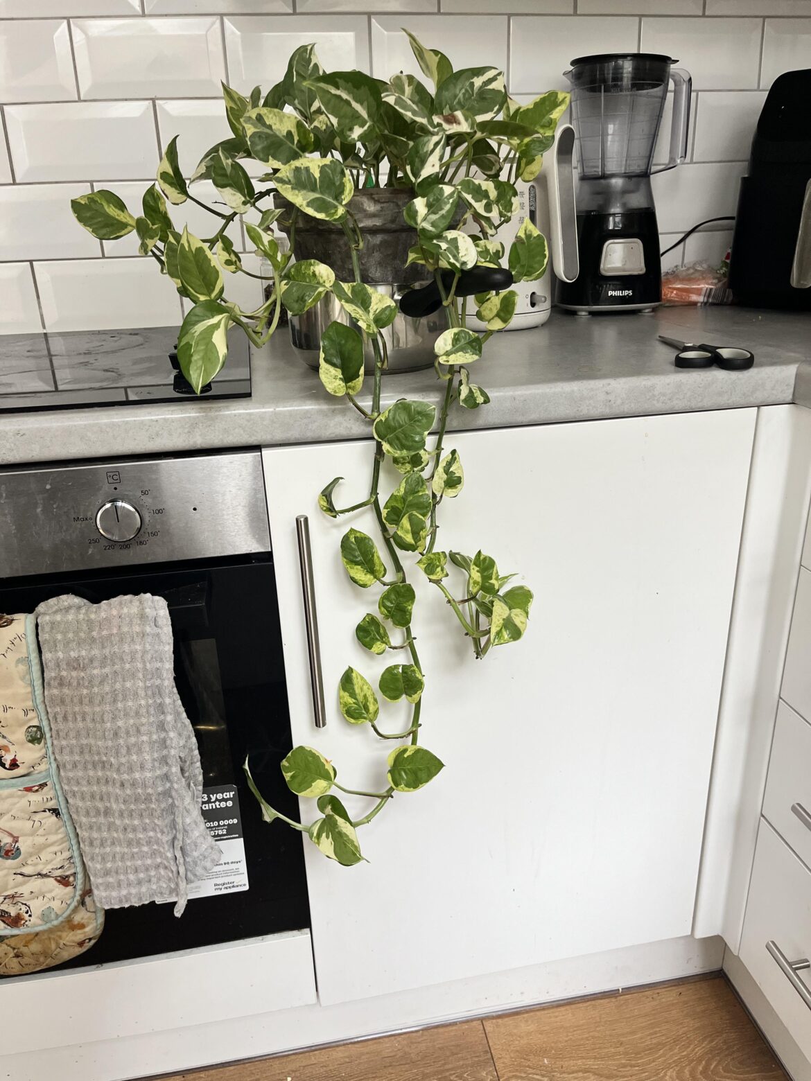 To prop or not to prop…