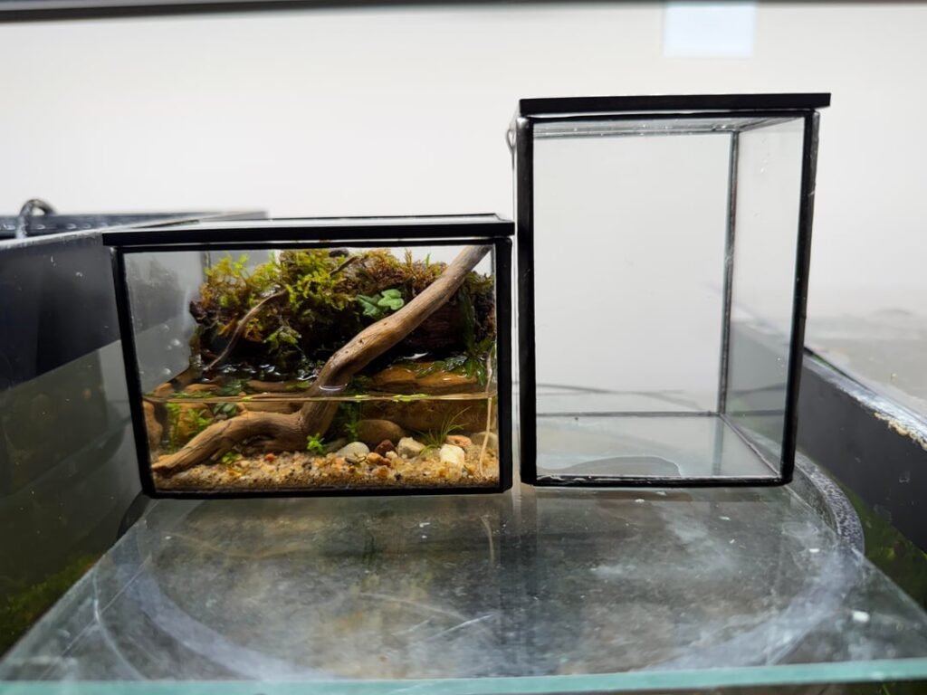 Mini scape Upgrade