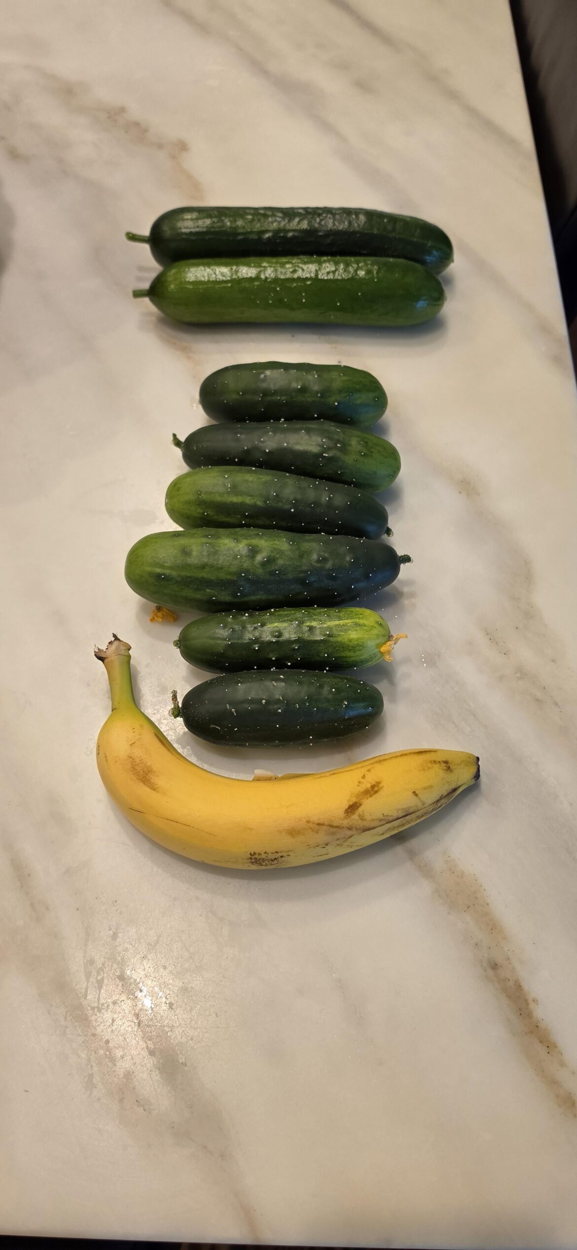 Today's Harvest