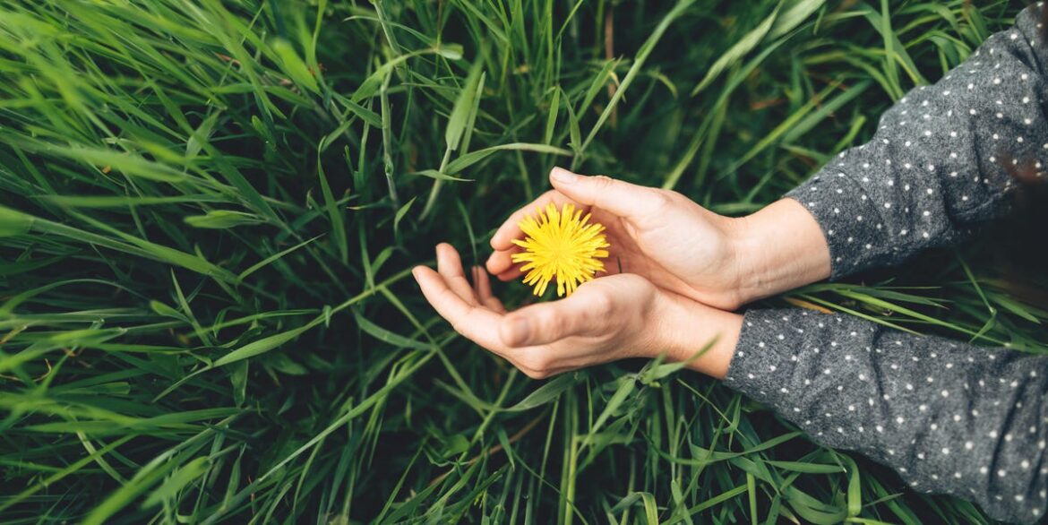 Don't forget one simple but essential gardening job this month