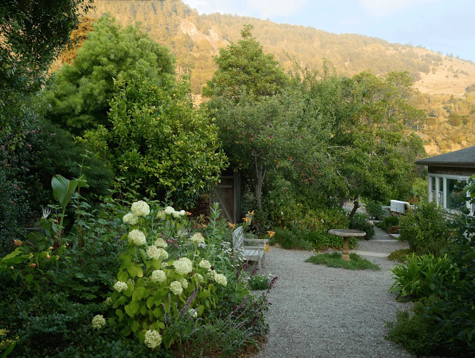 California cottage garden with hydrangeas and fountain