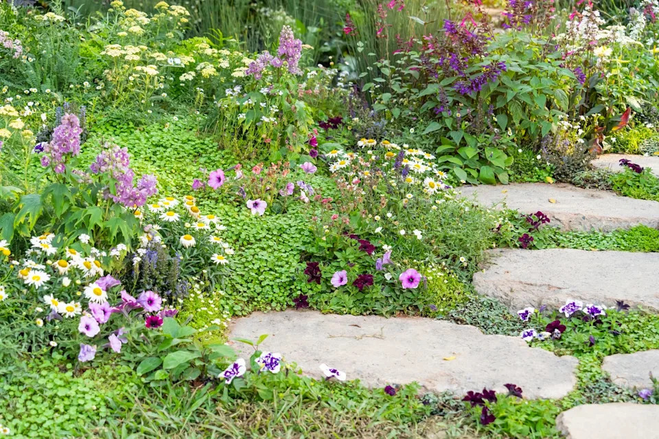 landscaping in the garden. the path in the garden.