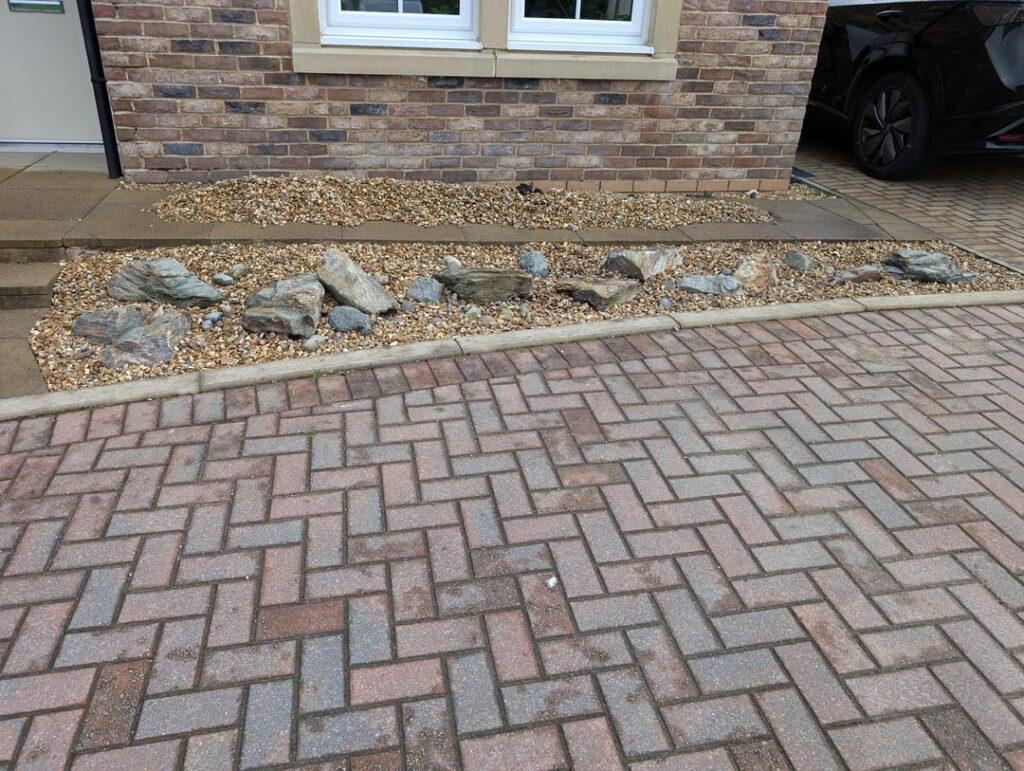 Help me choose the best plants for my new rockery Help me choose the best plants for my new rockery