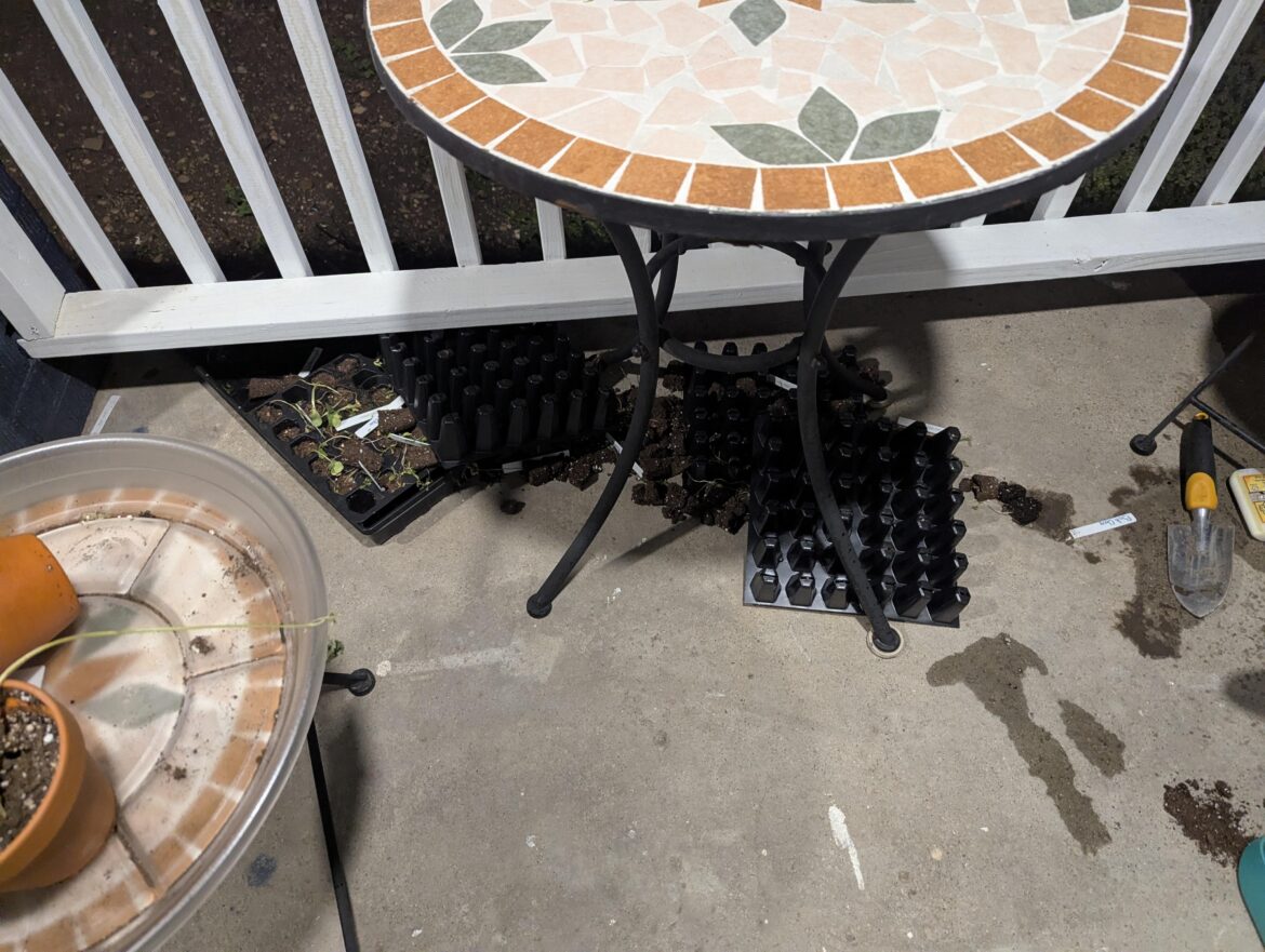 thanks, sudden wind gusts!