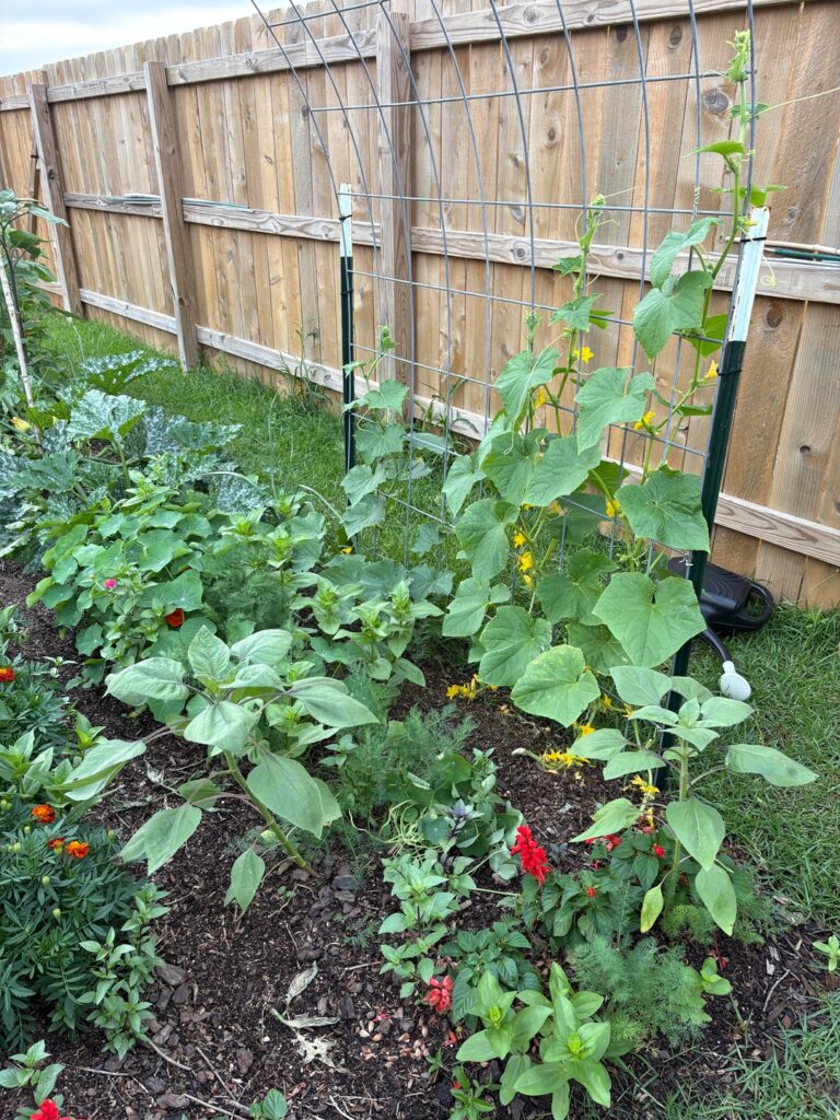 Things are taking off!