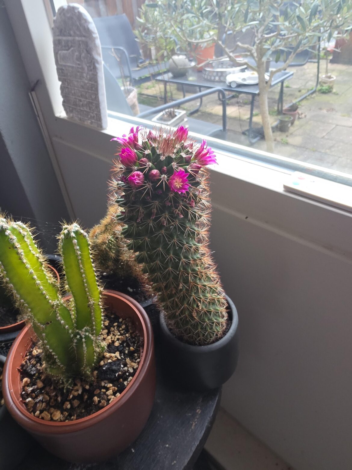 Guess he/she is happy :)