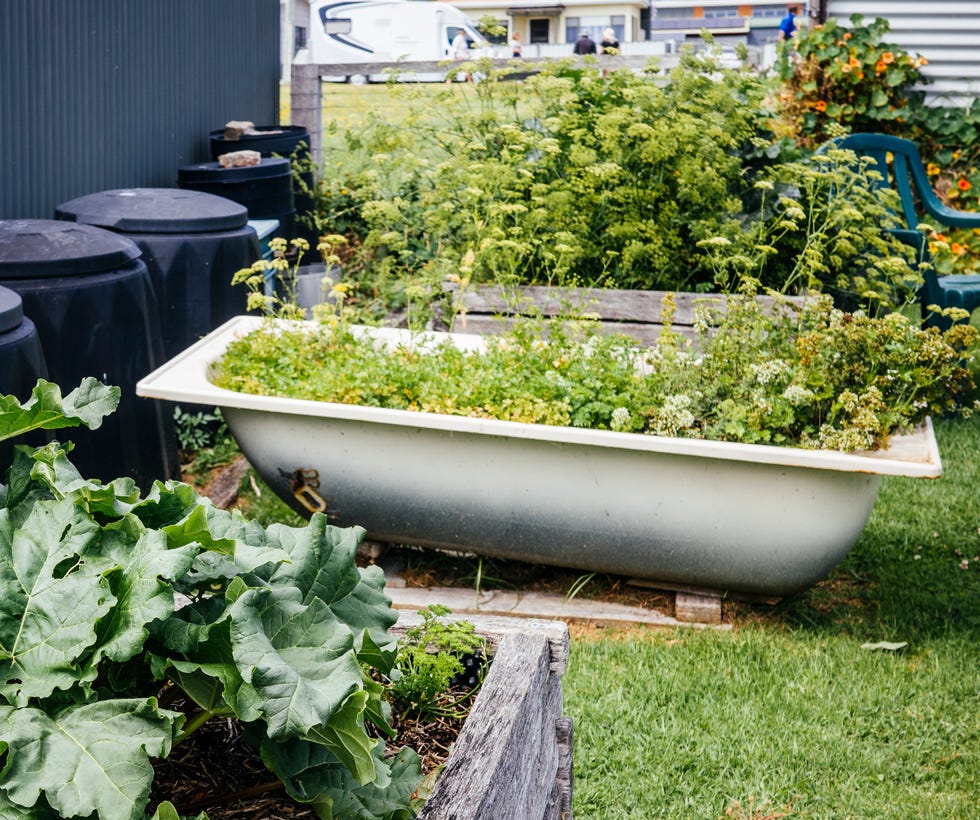 Home grown Vegetable garden bed and compost bin
