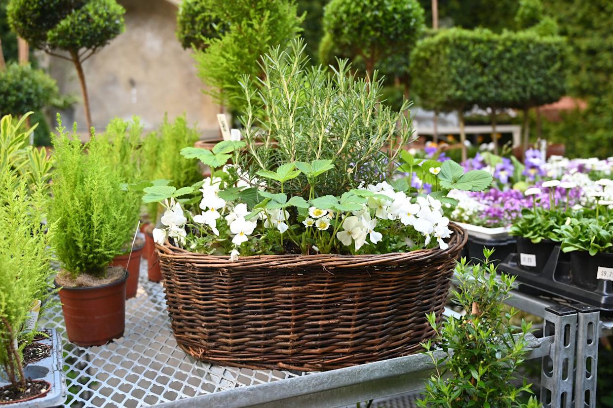 Deborah Silver of Detroit Garden Works says that natural baskets are becoming increasingly popular and are both durable and affordable.