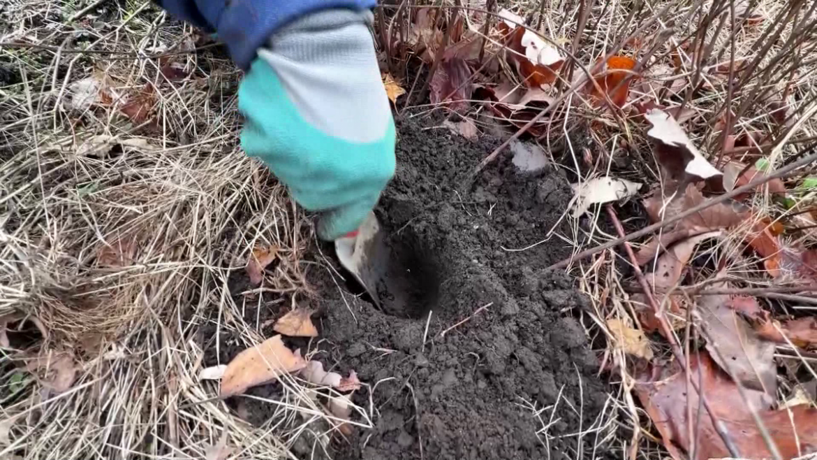 UMass Amherst soil tests offer tailored advice for healthier gardens