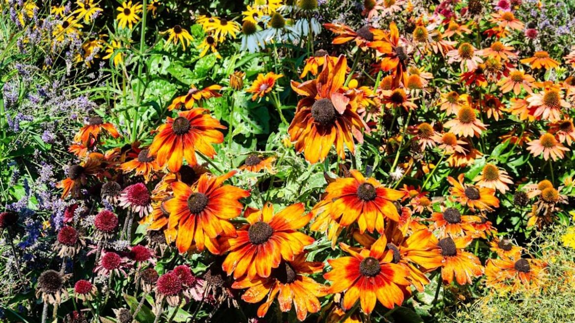 Cut Your Water Bill by Hundreds and Stop Overwatering These 8 Drought-Resistant Perennials Cut Your Water Bill by Hundreds and Stop Overwatering These 8 Drought-Resistant Perennials